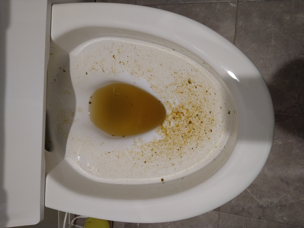 寝屋川市トイレつまり