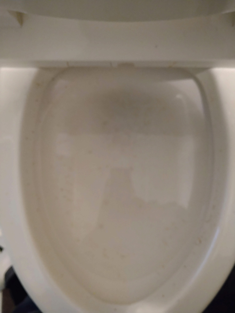 寝屋川市トイレつまり