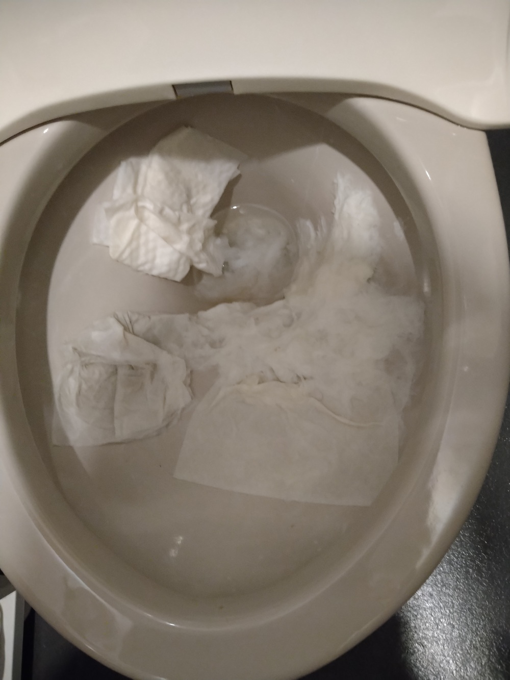 寝屋川市トイレつまり