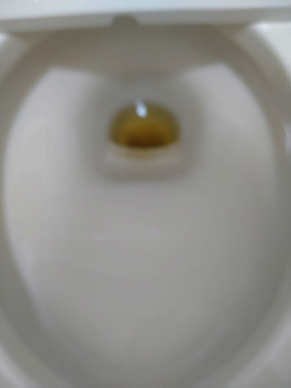 寝屋川市トイレつまり
