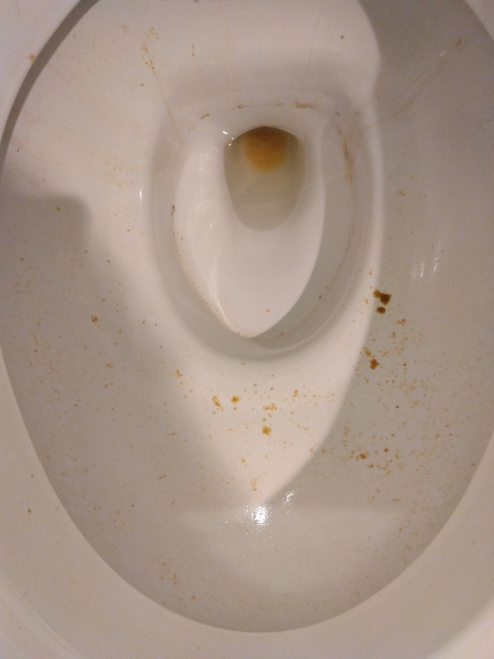 寝屋川市トイレつまり