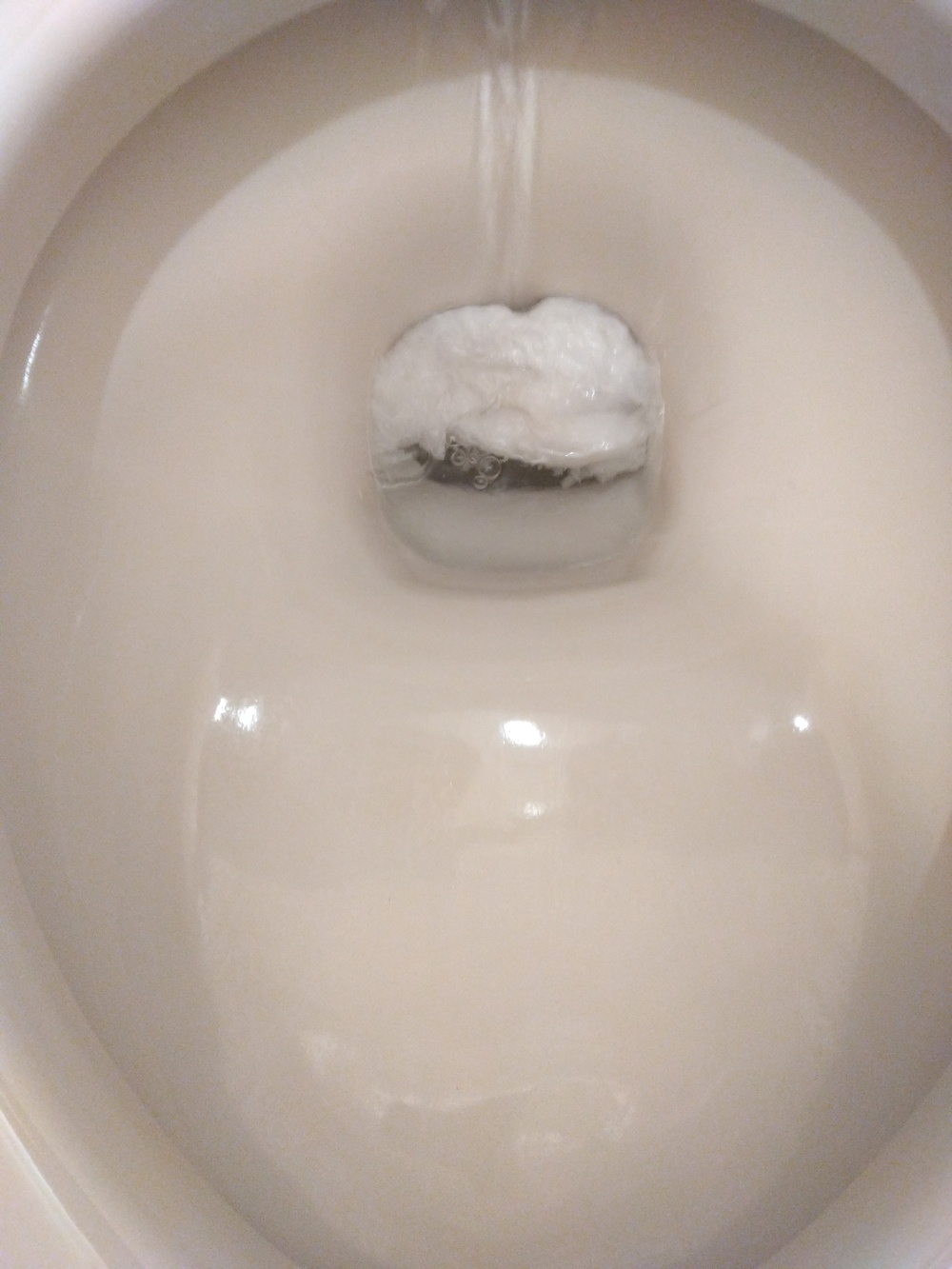 堺市トイレつまり